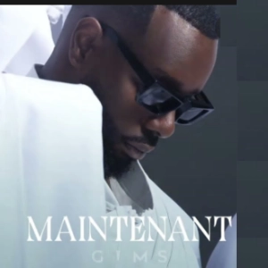 GIMS - Maintenant déja sur MixFeever