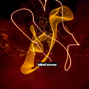 Doctum - Whip déja sur MixFeever