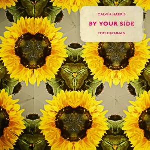 Calvin Harris - By Your Side déja sur MixFeever