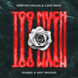 Dimitri Vegas & Like Mike DVBBS & Roy Woods - Too Much déja sur MixFeever