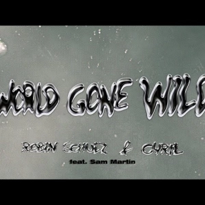 Robin Schulz - World Gone Wild : Le tube électro qui fait danser la planète