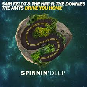 Sam Feldt & The Amys - Drive You Home 